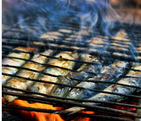 SARDINE
